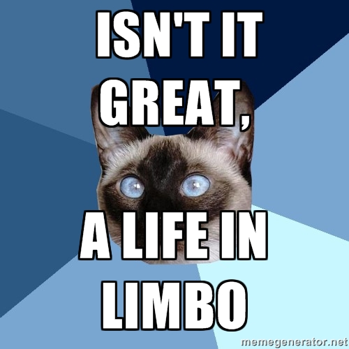Image result for in limbo memes