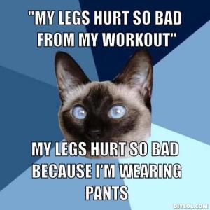 chronic-illness-cat-meme-generator-my-legs-hurt-so-bad-from-my-workout-my-legs-hurt-so-bad-because-i-m-wearing-pants-066b88